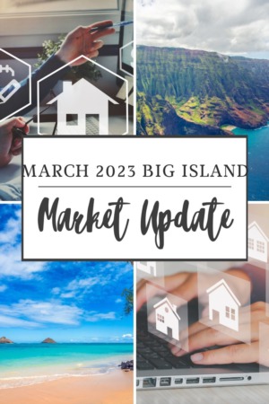 March 2023 Market Update on the Big Island