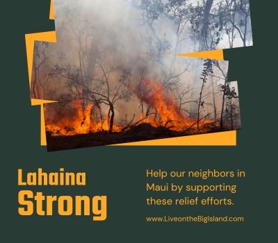 Help Our Neighbors in Maui Recover from Devastating Wildfires
