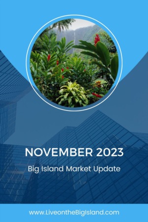 November 2023 Big Island Market Update
