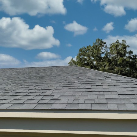 Top 10 Essential Tips To Maintain Your Roof