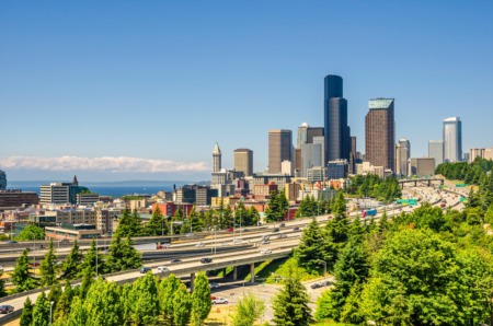 Exploring Seattle's Parks: A Guide to the City's Green Spaces and Dog-Friendly Areas