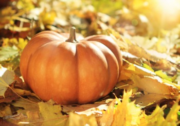 Fun, Scary, and Haunted: Fall Activities in Indianapolis