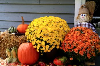 Fall Landscaping Ideas for Your Home
