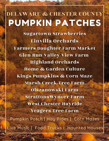 Delaware & Chester County Pumpkin Patch