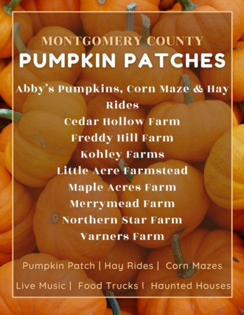 Montgomery County Pumpkin Patches