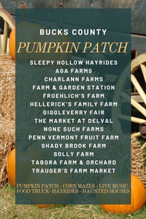 Bucks County Pumpkin Patches