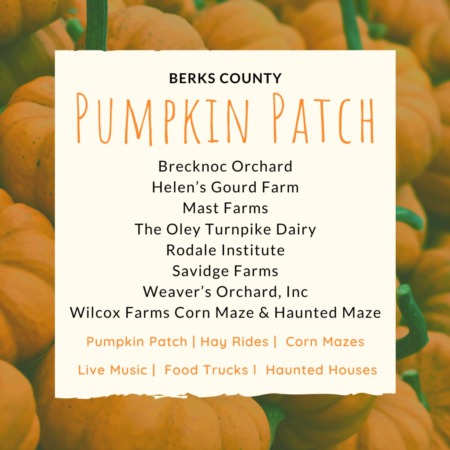 Berks County Pumpkin Patch