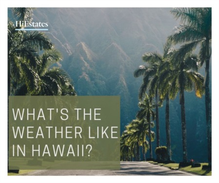 What's The Weather Like in Hawaii?
