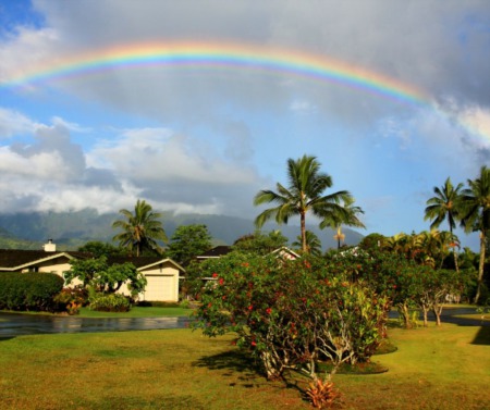 Why are HOA fees Higher in Hawaii?