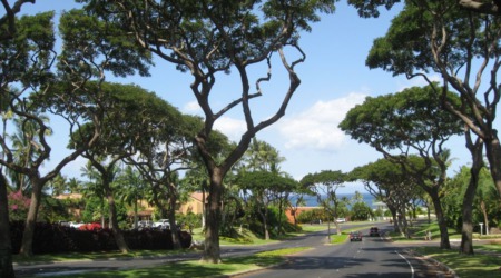 8 Neighborhoods to Consider for Your Second Home on Oahu