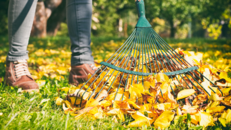 4 Simple Tasks to Do in Fall for an Awesome Lawn in Spring