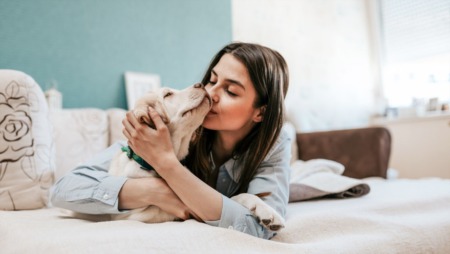 8 Ways to Get Rid of Awful Pet Smells That Turn Off Buyers