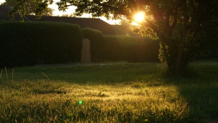 5 Ways to Keep Severe Weather from Doing a Number on Your Yard