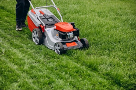 Effective Lawn Care and Maintenance Tips For Springtime in Colorado