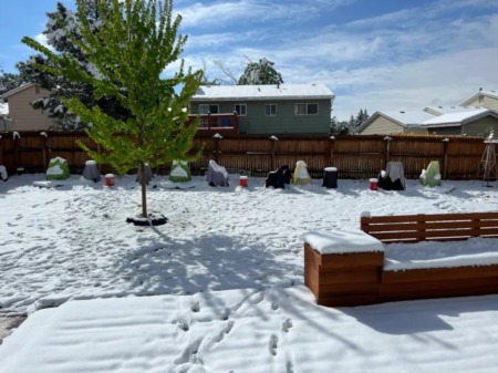 Weather Report| Denver Daily Weather History