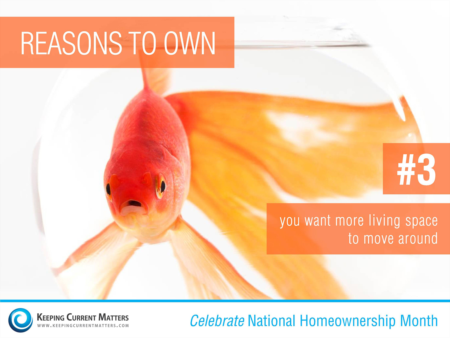 #3 Reasons To Own
