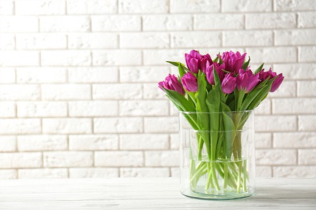 Flowers At Home? Here Are Some Benefits