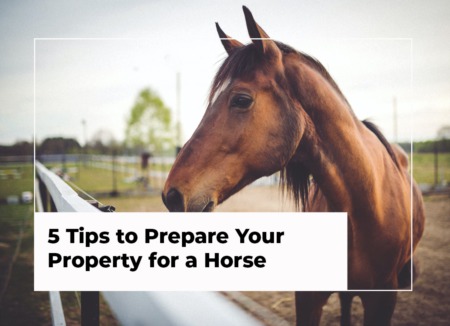 5 Tips to Prepare Your Property for a Horse