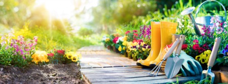 4 Simple Improvements That Will Make a Home’s Garden More Appealing to Buyers