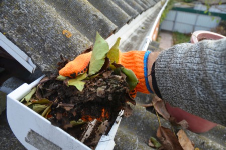 7 Effective Steps to Clean Your Gutters
