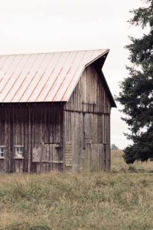Barns 101: The Do's and Don'ts of Building an American Barn