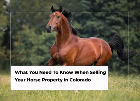 What You Need To Know When Selling Your Horse Property in Colorado