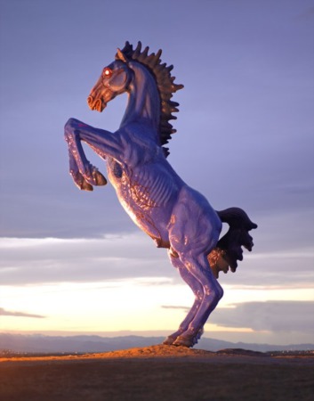 Luxury Equestrian Estates and Horse Properties in the Denver Area