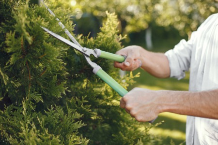 The Close Relation Between Landscaping And Property Value