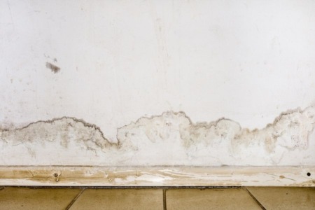 Four Most Common Places To Find Mold in Your Home