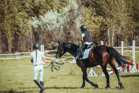 Take Riding Lessons or Board Your Horse at Shamrock T Ranch