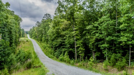 Under Contract! 51 Acres Fuller Road, Rougemont, NC
