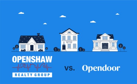 Opendoor VS Traditional Real Estate Professional