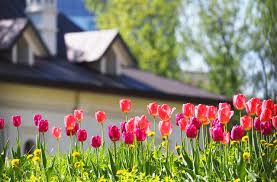  Top 5 Tips for Home-Buyers During a Competitive Spring Market
