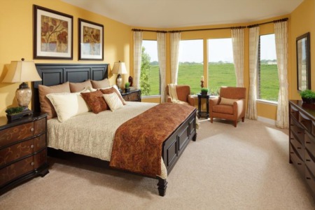 24 Stylish Master Bedrooms With Carpet