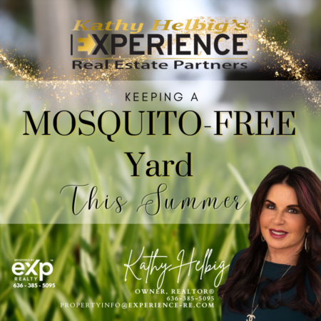 Keeping a Mosquito-Free Yard This Summer