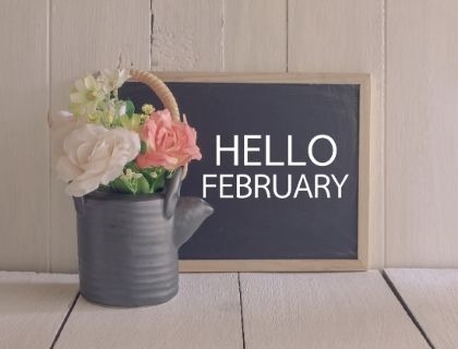 Mark’s Market Update for February 2019