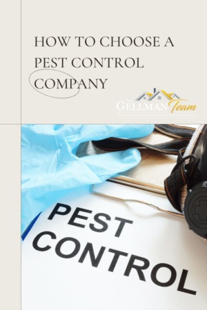 How to Choose a Pest Control Company 