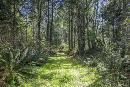 Buying Land in Thurston County