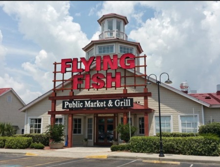 Flying Fish