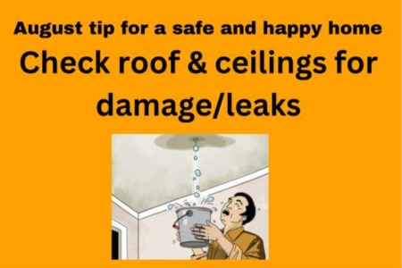 A Guide to Checking Your Roof for Leaks and Damages