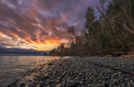 Why You Should Buy a Home on Vancouver Island