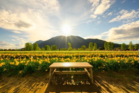 5 Reasons to Choose the Chilliwack Real Estate Market