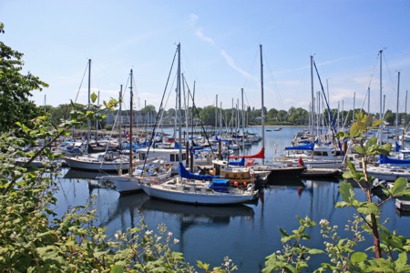 Pros & Cons of Living in a City like Oak Bay