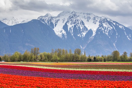 The Pros & Cons of Moving to a Small Town Like Agassiz
