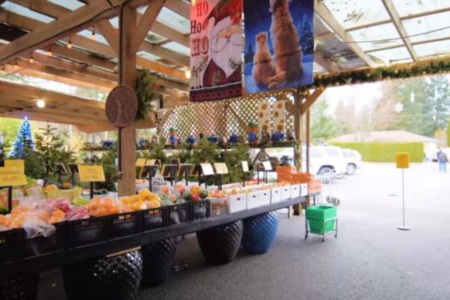 Naesgaard's Farm & Market - Spotlight on Alberni