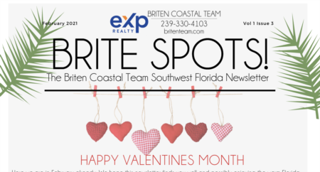 Brite Spots Newsletter February 2021