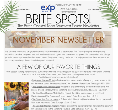Brite Spots! November 2021 Newsletter