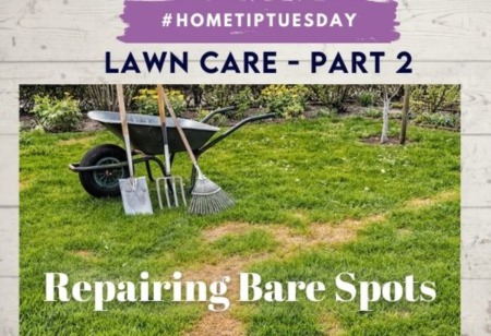 Lawn Care Part 2 - Repair Bare Spots
