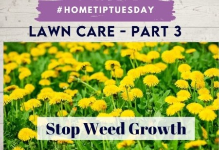 Lawn Care Part 3 - Stop Weed Growth