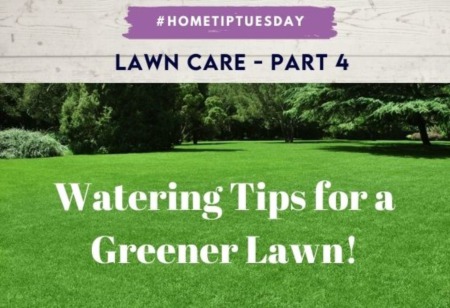 Lawn Care Part 4 - Watering Tips for Your Lawn